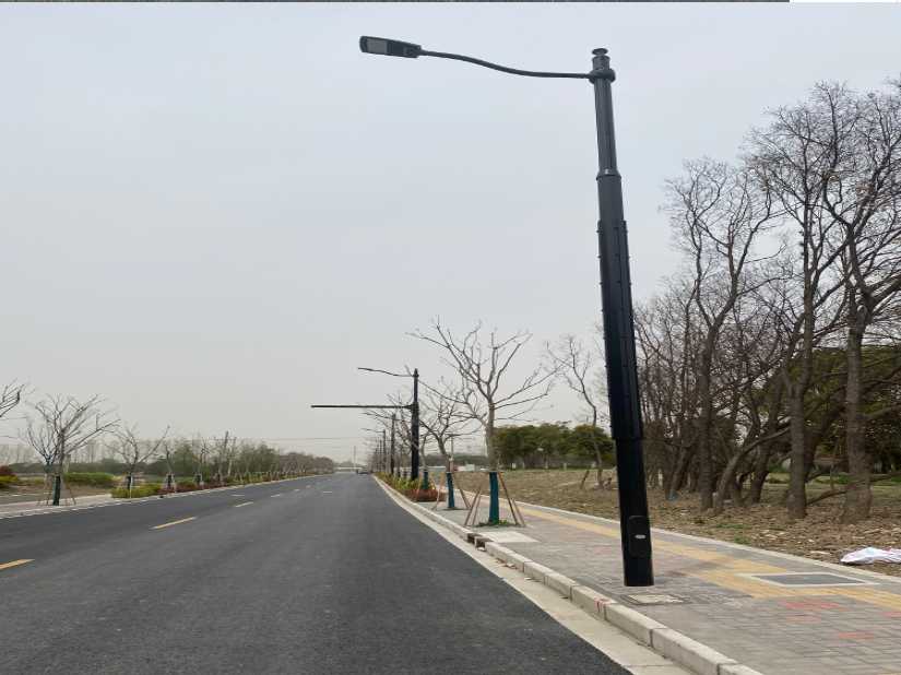 金阳县上海综合杆 太阳能路灯工程